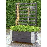 PLUS Cubic Raumteiler mit Spalier - 130 cm - Schwarz