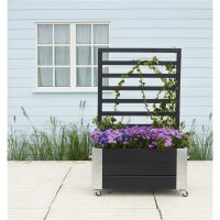 PLUS Cubic Raumteiler mit Spalier - 130 cm - Schwarz