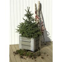 PLUS Cubic Blumenkasten mit Rädern - 45 cm - Graubraun