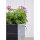 PLUS Cubic Blumenkasten mit Rädern - 120 x 45 cm - Schwarz