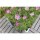 PLUS Cubic Blumenkasten mit Rädern - 120 x 45 cm - Schwarz