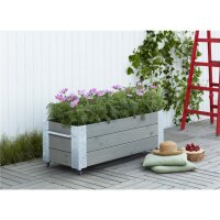 PLUS Cubic Blumenkasten mit Rädern - 120 x 45 cm - Graubraun