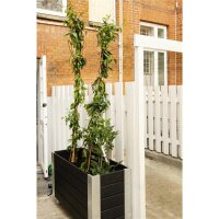 PLUS Cubic Blumenkasten mit Rädern - 50 x 120 x 70 cm - Schwarz