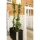 PLUS Cubic Blumenkasten mit Rädern - 50 x 120 x 70 cm - Schwarz