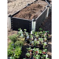 PLUS PIPE Hochbeet 80 x 140 cm - Schwarz