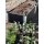 PLUS PIPE Hochbeet 80 x 140 cm - Schwarz