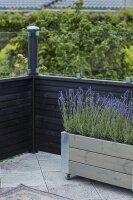 PLUS Plank Profil-Zaun inkl. Glas