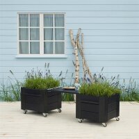 PLUS Cubic Blumenkasten