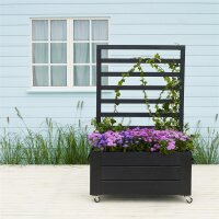 PLUS Cubic Blumenkasten m. Spalier