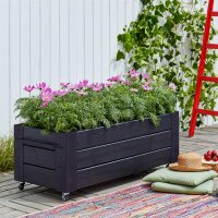PLUS Cubic Blumenkasten