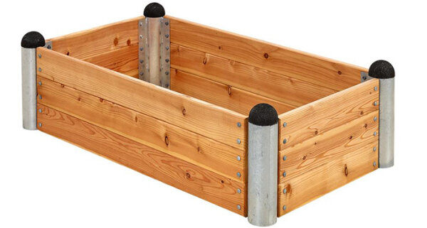 Lärche